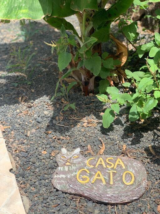 Casa Gato Apartman Corralejo Kültér fotó