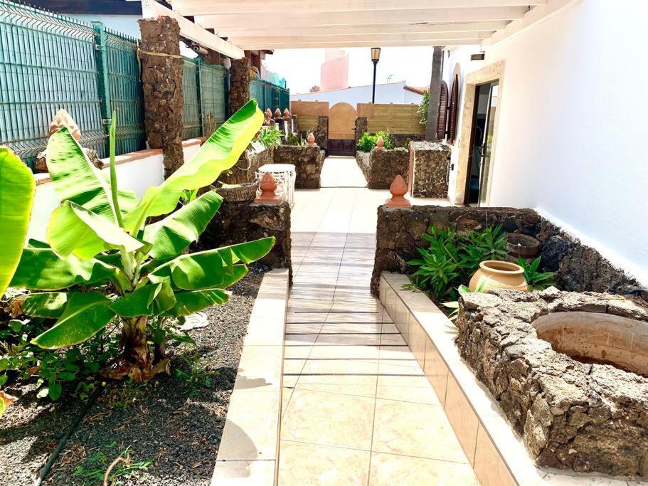 Casa Gato Apartman Corralejo Kültér fotó